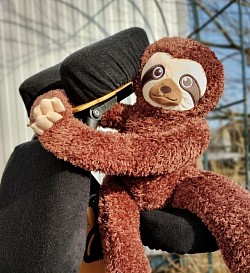 Larry