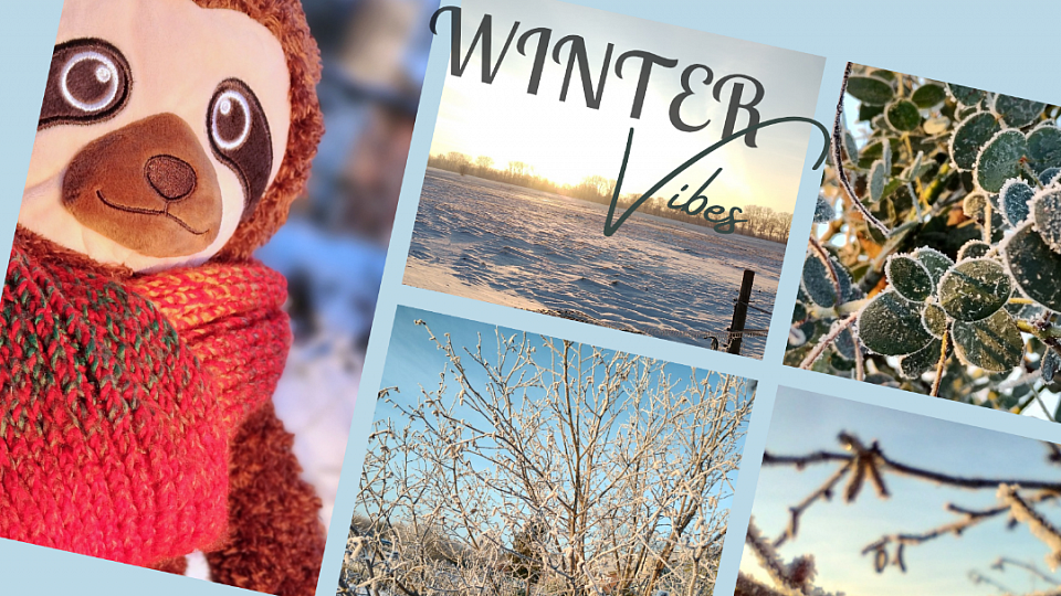 Winter vibes